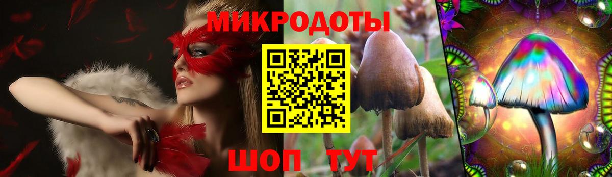 Галлюциногенные грибы прущие грибы Ефремов